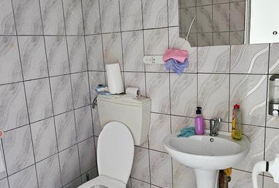 Complex imobiliar format din hale,sediu firma, studio locuit, teren, D-va Rosie - 6