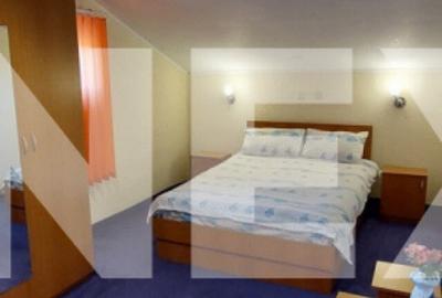 Pensiune 9 camere in Valea Mare Bratia, com. Balile?ti, ju - 2