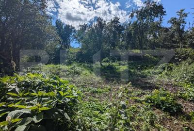 Casa renovabila cu teren generos de 1268 mp si front de 20 m, Gheorghieni Sat - 4