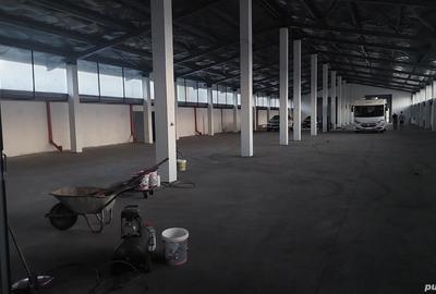 Spațiu comercial, de 6,000 mp, în Episcopia Bihorului - 2