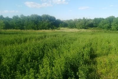 Teren agricol extravilan de 10000 mp, în Brăești - 1