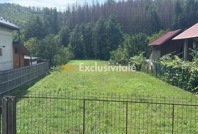 Teren de 1640 mp, în Băbana