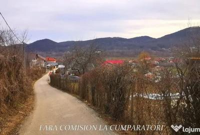 Teren în Vlădesti - 4