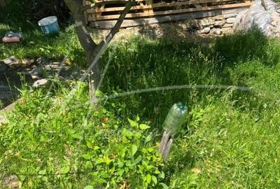 Teren intravilan cu casa- 1740 mp. in Provita de Sus-PH - 32