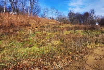 Teren de 600 mp, în Central