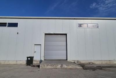 Hale | Afumati DN2 | 1000mp - 4