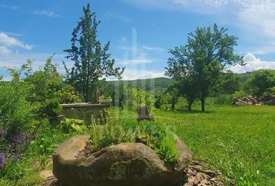 Casa Saseasca de vanzare in Somartin / Comision O % - 18