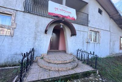 Casă individuală cu 4 camere cu Canalizare în Palanca - 17