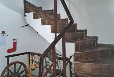 Casă cu 15 camere în Rânca