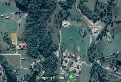 Teren de 1090 mp, în Colibița - 4