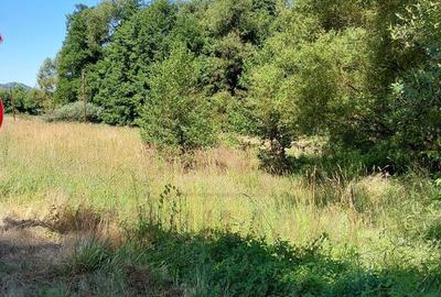 TEREN INTRAVILAN IN MARGA-LA DN68 JUD.CARA?-SEVERIN - 4