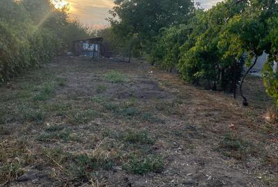 Casă cu 5 camere cu Teren 936 Mp în Robănești - 4