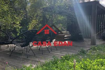 Teren de 9104 mp, în Brebu - 5