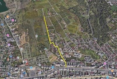 Teren Intravilan Pacurari Viticultori - 2