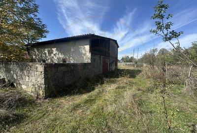 Teren 5216 mp la 2 pasi de autostrada A1 - com. Ratesti Teren 5216 mp la 2 pasi de autostrada A1 - com. Ratesti - 6