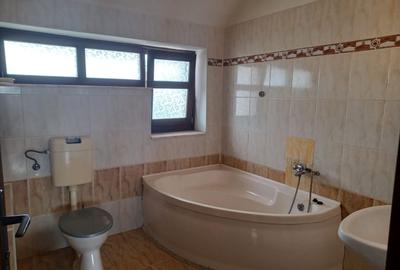 Casa insiruita, 2 dormitoare, garaj, Sanmartin. 120 000 E. Comision 0. - 17