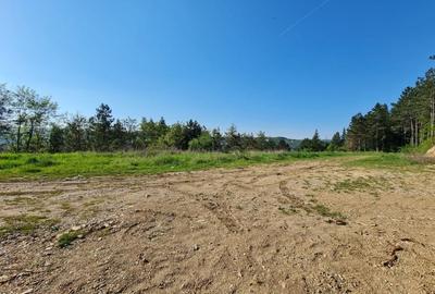 Teren intravilan de vanzare , zona Sf Ion, Padurea Faget - 4