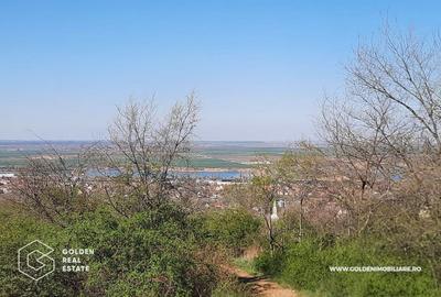 Teren Construcții intravilan de 4158 mp, în Ghioroc - 1