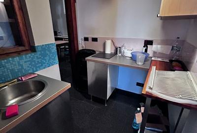 In cadrul unei cladire simbolice demne de remarcat- PALATUL BANATEAN In cadrul unei cladire simbolice demne de remarcat- PALATUL BANATEAN - 16