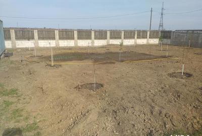 Spațiu comercial, în Lumina - 2