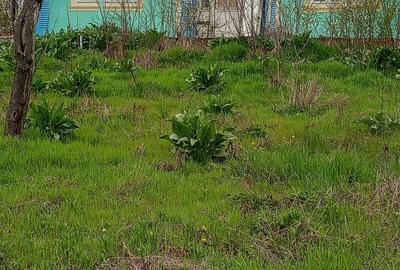 Apartament în Blăgești - 6