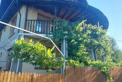 Casă cu 8 camere în Drajna - 7