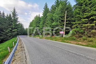 Teren cu puz intravilan in localitatea Paltinis din judetul Sibiu - 4