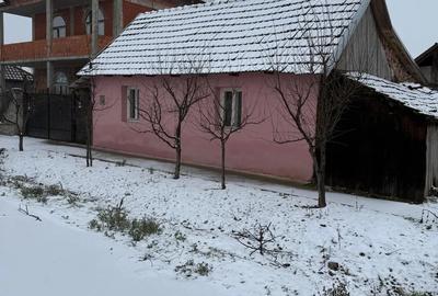 Casă cu 2 camere în Central