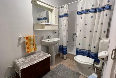 Dacia - Casa  4 camere, mobilata si utilata - 15