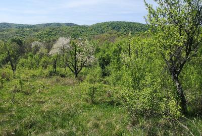 Vand teren Orsova, jud. Mehedinti - 1