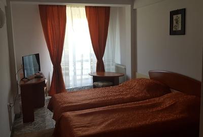 Busteni, ideal azil, hotel - 13