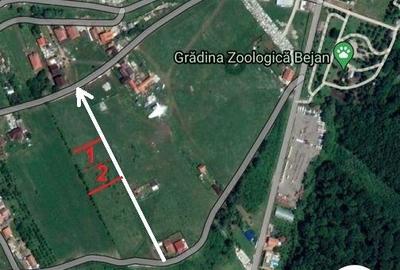 2 parcele de teren extravilan, alaturate, situate in Deva, zona Micro, spre Padurea Bejan. - 2