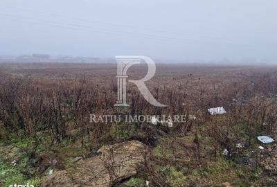 Spațiu comercial, în Sântandrei - 4