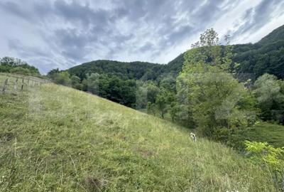 Teren de 23376 mp, în Central - 4