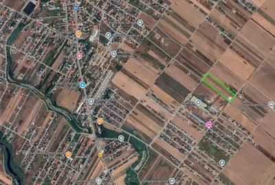 Teren in Rate Primaverii, Comuna Berceni | curent si gaz la lot |#EG38 - 1