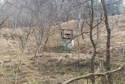 Casă cu 4 camere în Răchitova - 3