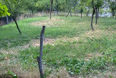 Casă cu 2 camere în Blahnița de Sus - 8