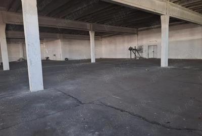 Hala de inchiriat - 5