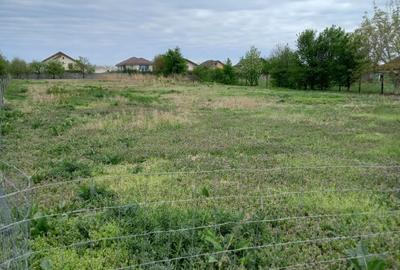 Teren de 2500 mp, în Torontalului - 2
