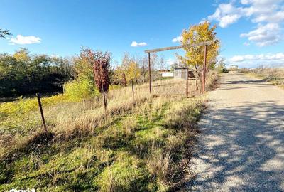 Spațiu comercial, în Albota - 3