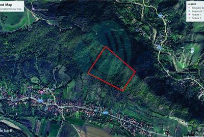 PADURE de vanzare - Berca -Buzau - 2