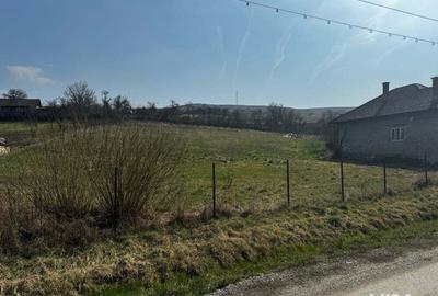 Casa cu 2 camere, in comuna Jichisu de jos - 10