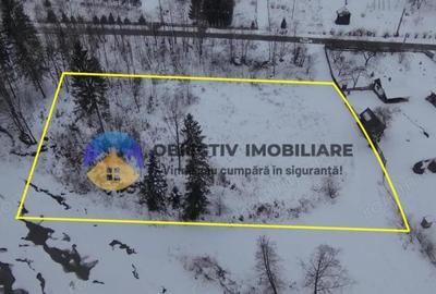Teren de 2283 mp, în Tarcău - 3