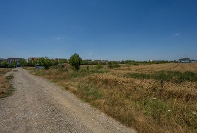 OTOPENI - CARPATILOR, TEREN 1371 MP! - 7