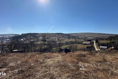 Casă cu 4 camere cu Teren 2977 Mp în Baciu - 7