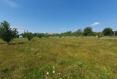 Casa  moderna mobilata cu beci 165mp +3000mp teren Cotnari - 32