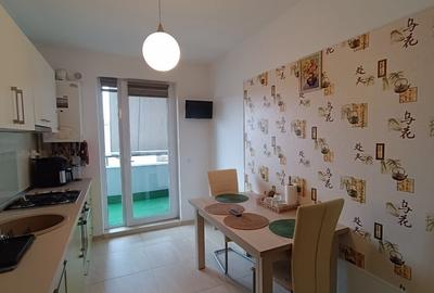 Apartament cu 2 camere decomandat, mobilat în Turnișor - 5