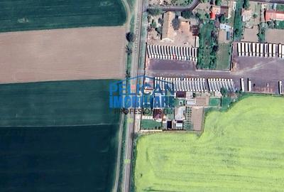 Teren Construcții intravilan de 4000 mp, în Mihail Kogălniceanu - 11
