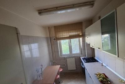 Apartament 2 camere decomandate Teiul Doamnie-Lacul Tei - 7