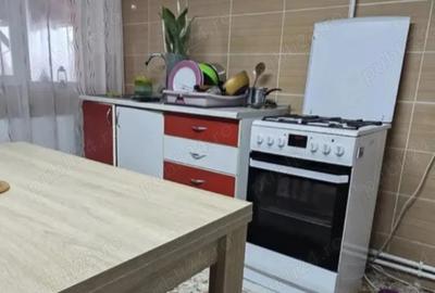 Casă cu 3 camere în Mica - 1